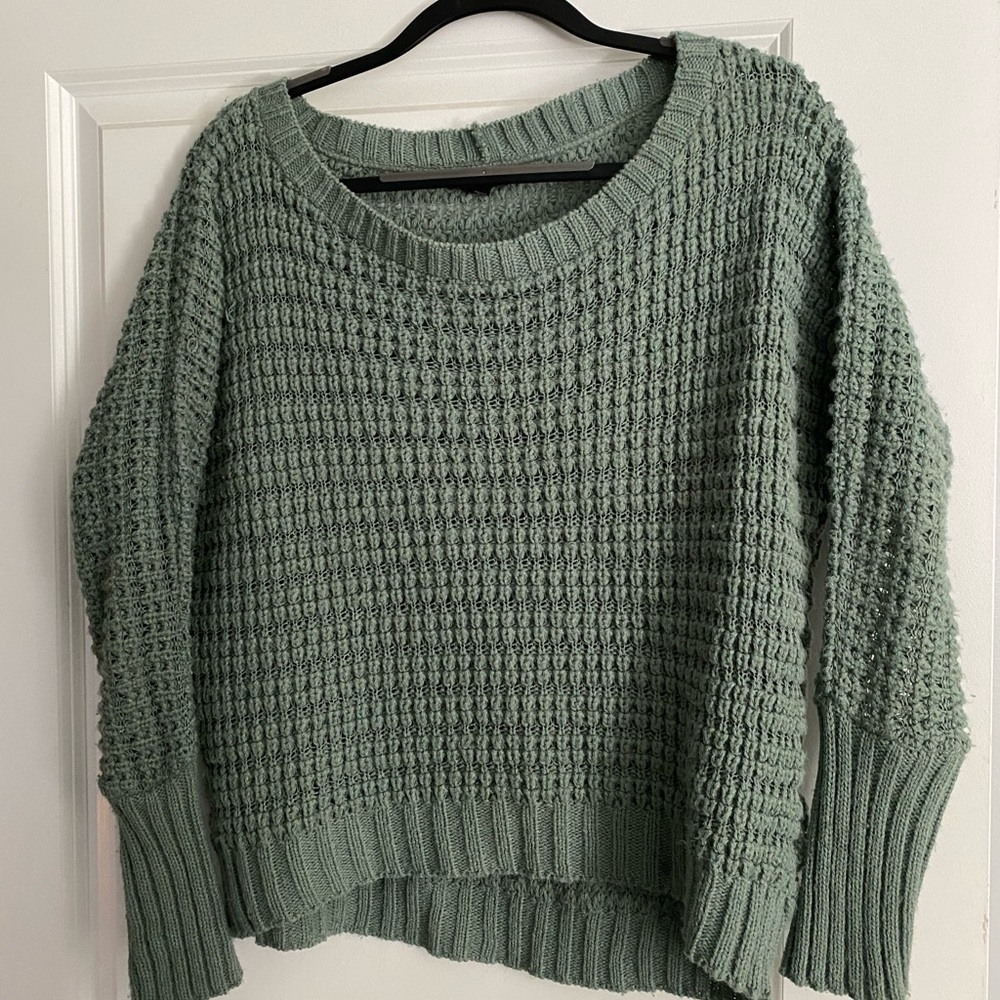 Express Sea Foam Green Knitted Sweater